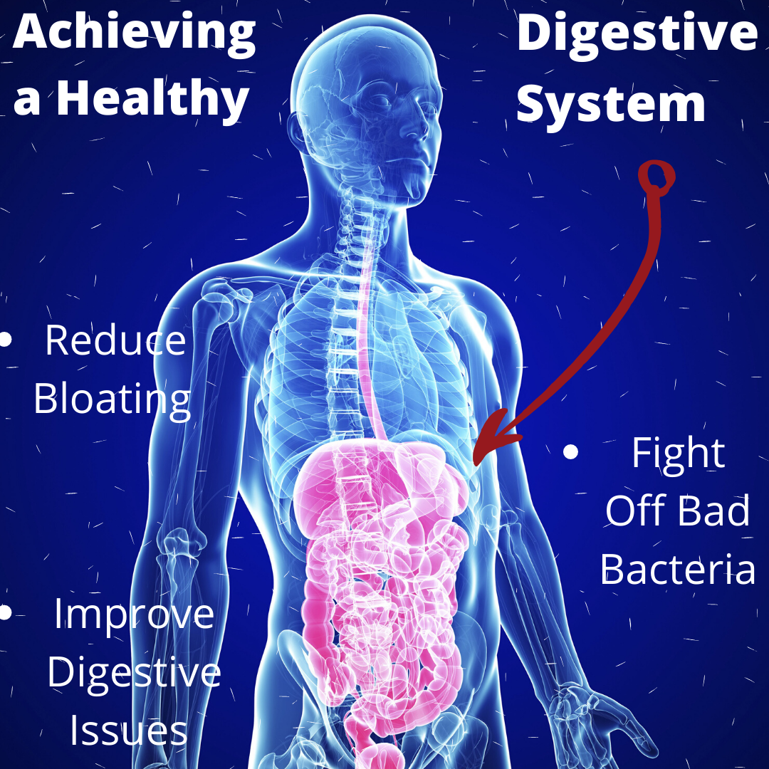 achieving-a-healthy-digestive-system-supplements-studio