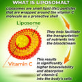 Visual diagram showing how liposomes surround vitamin C to protect it. Describes how liposomal delivery supports nutrient transport into the bloodstream and may enhance absorption.