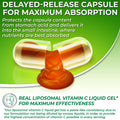 Illustration of a delayed-release capsule with gel content, highlighting protection from stomach acid and targeted delivery to the small intestine for improved nutrient absorption. Text emphasizes real liposomal vitamin C liquid gel for maximum effectiveness.