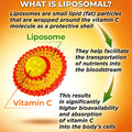 Diagram explaining what liposomal means: shows liposome structure with vitamin C core. Describes liposomes as fat particles that protect vitamin C and help improve absorption and bioavailability into the bloodstream and cells.