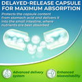 Graphic showing two transparent capsules opening to release nutrients. Text reads: 'Delayed-release capsule for maximum absorption – protects the capsule content from stomach acid and delivers it into the small intestine, where nutrients are best absorbed.' Icons below highlight 'Advanced delivery system' and 'Enhanced bioavailability' with a green-blue gradient background.