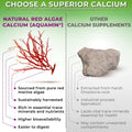 Comparison between Aquamin® red algae calcium and other calcium supplements, highlighting benefits like higher bioavailability, trace minerals, and digestibility versus limestone-derived calcium.