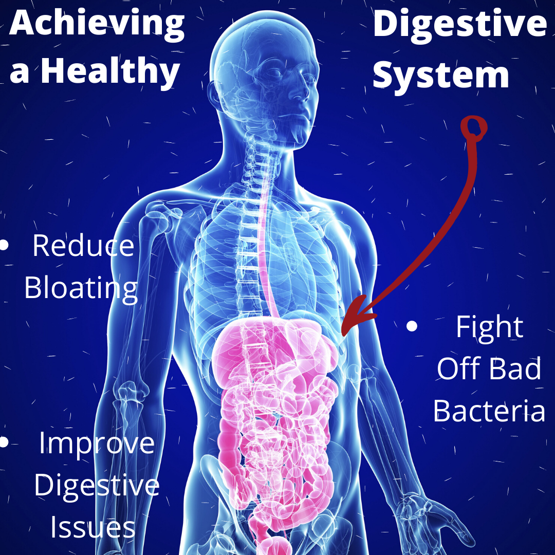 ACHIEVING A HEALTHY DIGESTIVE SYSTEM