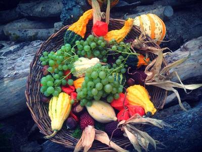 5 OF THE HEALTHIEST FRUITS AND VEGETABLES