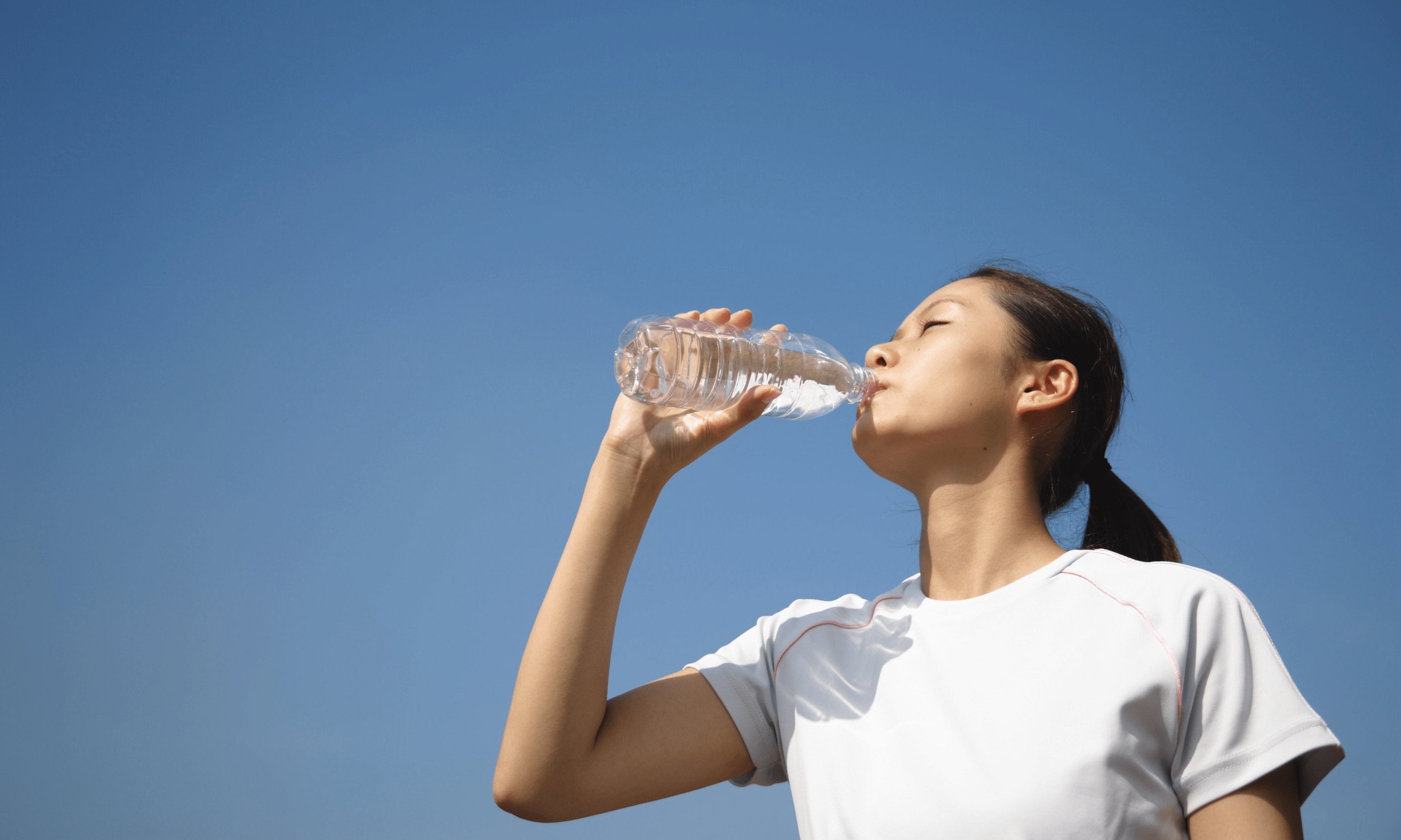 Multivitamins with Probiotics: Your Complete Guide to Better Gut Health