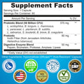 3-In-1 Probiotics with Digestive Enzymes & Prebiotic for Women & Men