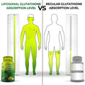 an image illustrating how much higher the absorption of liposomal glutathione is compared to regular glutathione