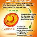 An image explaining what liposomal technology means and how it works