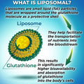 Liposomal Glutathione Liposomal Glutathione 500mg with Organic Whole Foods