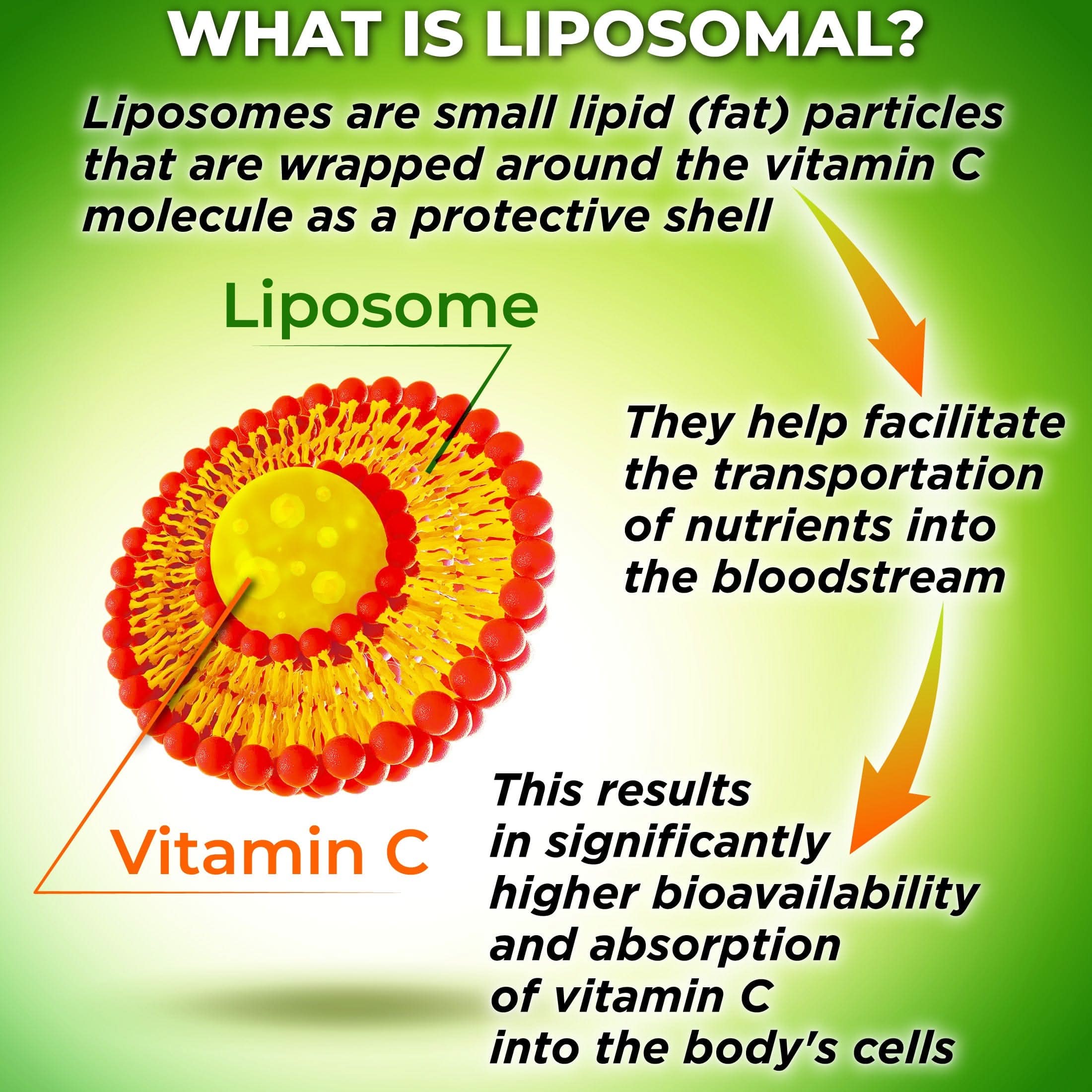 Liposomal Vitamin C Liquid Gel Capsules 1100mg Liposomal Vitamin C Liquid Gel Capsules 1100mg