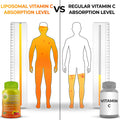 Liposomal Supplements Liposomal Vitamin C Liquid Gel Capsules 1100mg - 120 Count