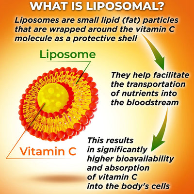 Liposomal Supplements Liposomal Vitamin C Powder Capsules 1500mg - 180 Count
