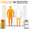 Liposomal Supplements Liposomal Vitamin C Powder Capsules 1500mg - 180 Count